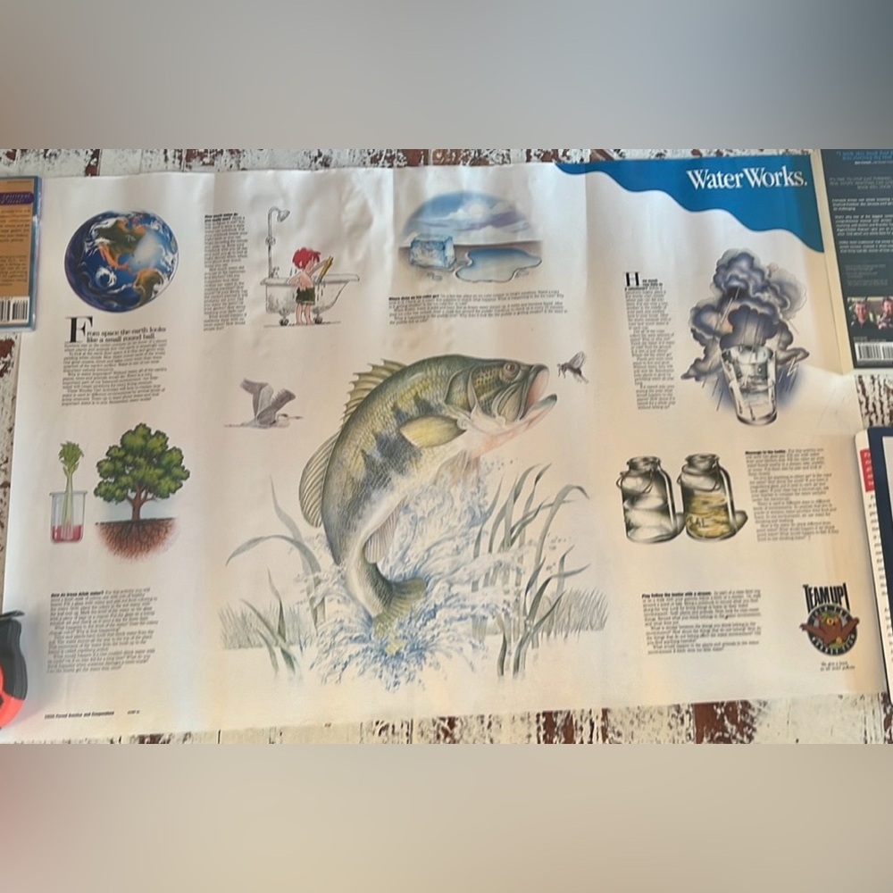 The Woodsy Team Forest Service USDA Water Works 1990s 20” x 30” Poster